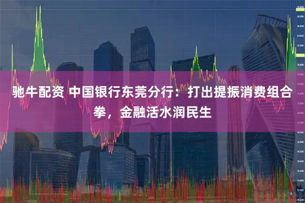 驰牛配资 中国银行东莞分行：打出提振消费组合拳，金融活水润民生